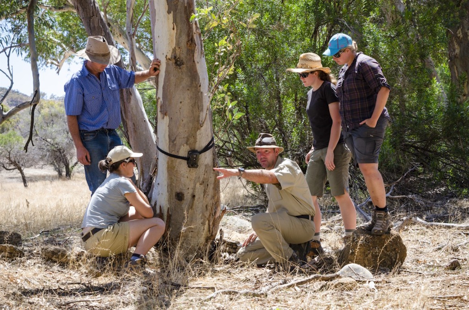 One of the unique and exclusive Australian experiences is spending time with a conservation group at Arkaba, Flinders Ranges
