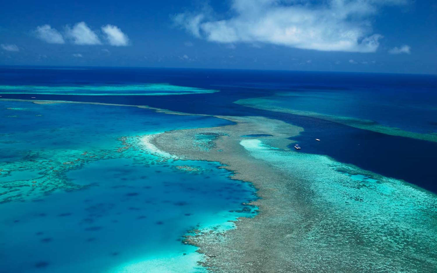 Aerial view of the Great Barrier Reef. Image source: Qualia